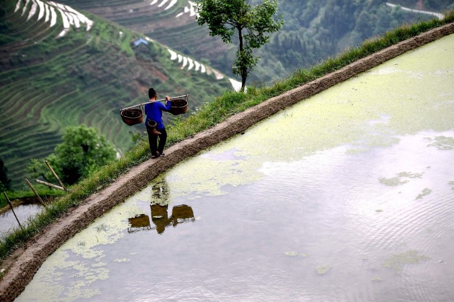 This photo taken on 24 April 2021 shows a farmer walking along terraced rice paddy fields in Congjiang, Guizhou province, China. (STR/AFP)