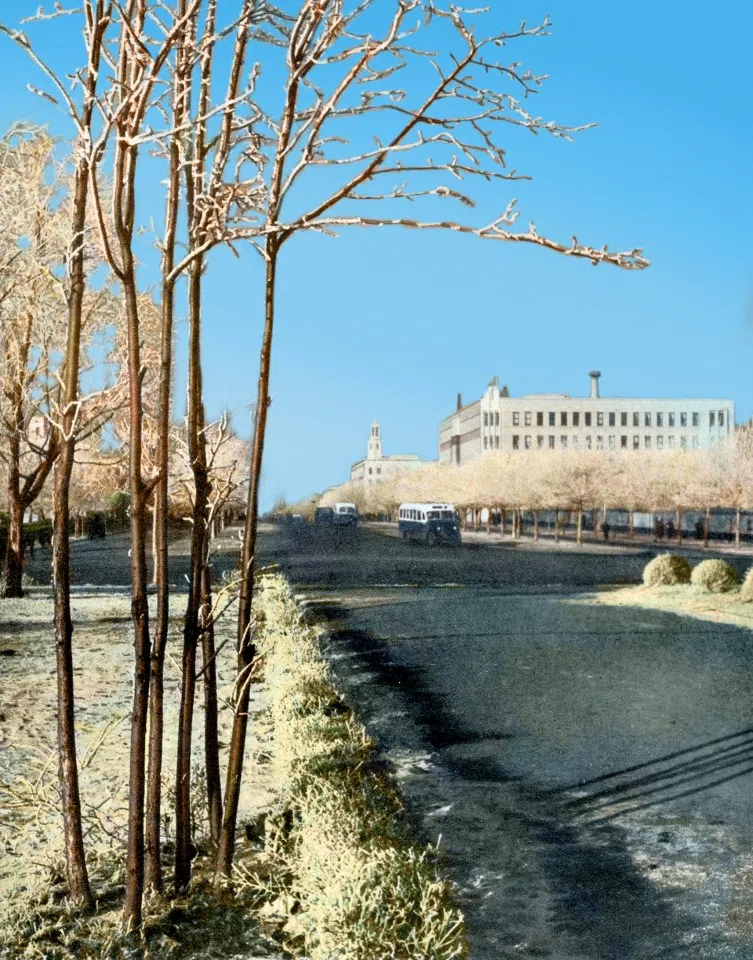 A snowy scene in Changchun, capital of Manchukuo, captured by a Japanese photographer in the 1930s. The romantic setting attracted many Japanese to Manchukuo.