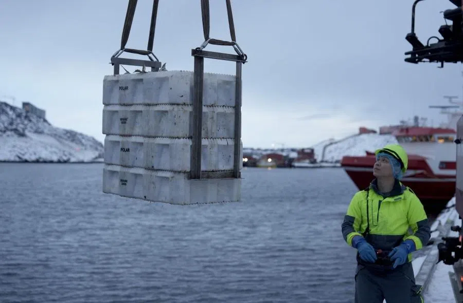 Fishermen unload their catch from a boat at the port in Nuuk, Greenland, on 17 January 2026. (Alessandro Rampazzo/AFP)