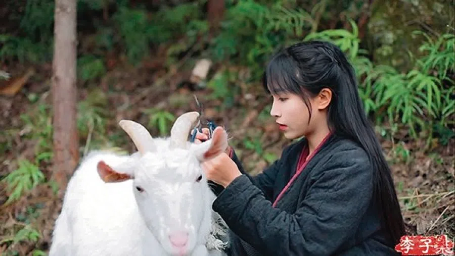 Vlogger Li Ziqi posts videos of life away from the city. (Internet/SPH)