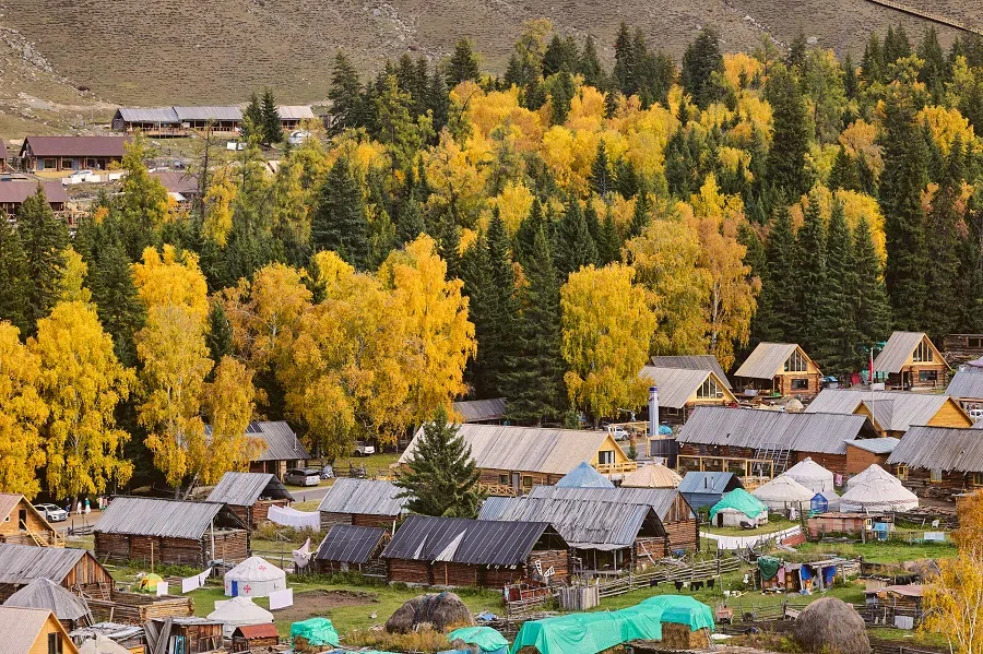 The border town of Baihaha recently experienced a boost in tourism during the summer of 2024 due to the popularity of a Chinese mini-series called To the Wonder (《我的阿勒泰》), which was predominantly filmed in Baihaba. To deal with the growing number of tourists, many new wooden cabins were built in the village, some of which were still under construction beneath green tarpaulins, even during autumn.