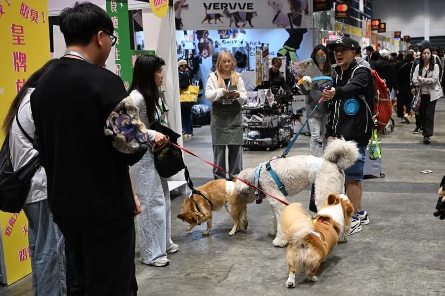 Visitors walk their dogs around the Hong Kong Pet Show 2026 at the Convention and Exhibition Centre in Hong Kong on 29 January 2026. (Peter Parks/AFP)