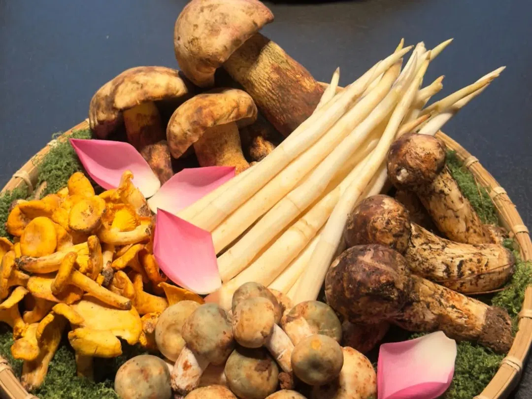 Mushrooms and fungi are a delicacy to savour.