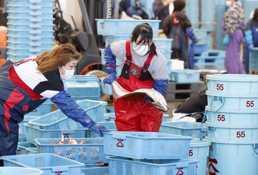 Workers sort fishes after a fishing operation at Matsukawaura fishing port in Soma, Fukushima prefecture, Japan, 12 April 2021. (Kyodo/via Reuters)