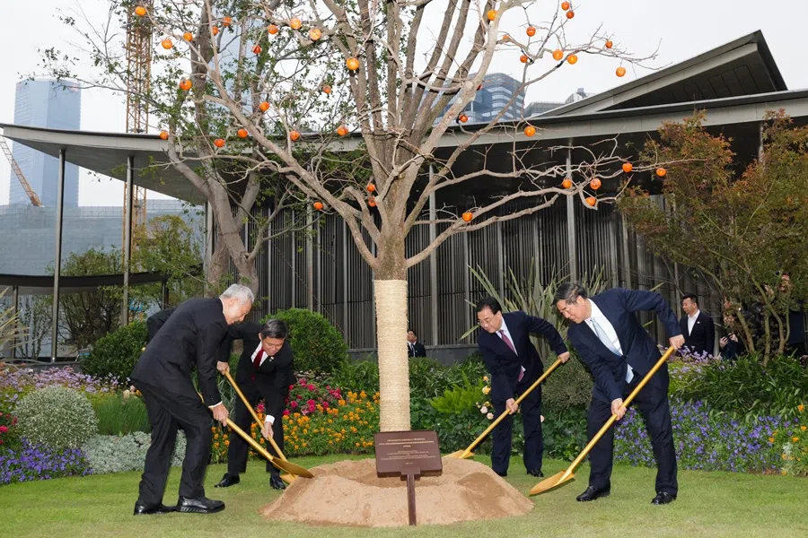 (From left) Senior Minister Lee Hsien Loong, Minister-in-Charge of the Suzhou Industrial Park Chan Chun Sing, secretary of the CPC Jiangsu Provincial Committee Xin Changxing and Chinese Vice-Premier He Lifeng planting a persimmon tree at Jinji Lake in Suzhou, China, on 25 November 2024. (MDDI)