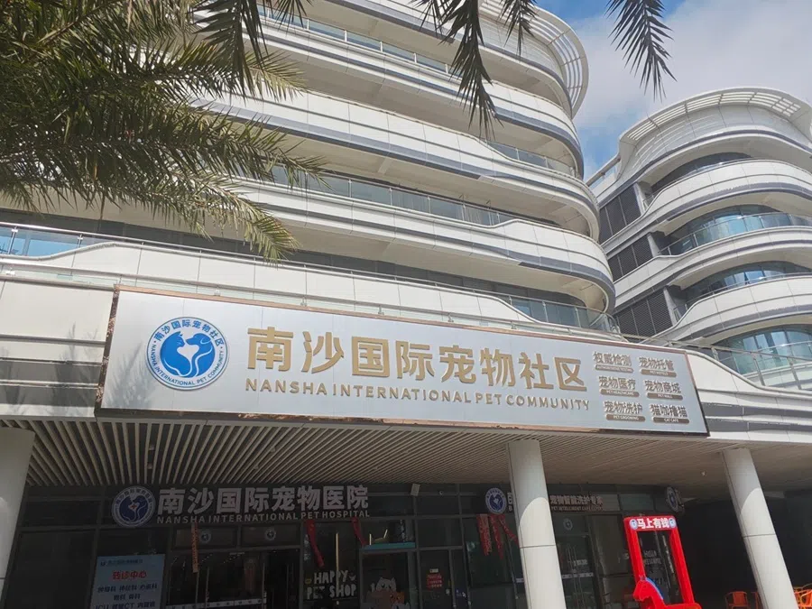 A general view of the Nansha International Pet Community. (Zeng Shi/SPH Media)