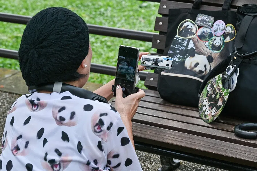 A woman in a panda top takes a photo of panda memorabilia on the last day of viewing before two pandas are sent back to China after 13 years, at Tokyo’s Ueno Zoo in Japan on 28 September 2024. (Richard A. Brooks/AFP)