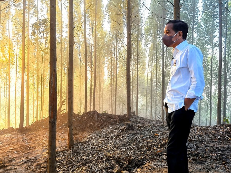 Indonesian President Joko Widodo inspects an area that will be the site of the new capital city, during sunrise in Penajam Paser Utara regency, East Kalimantan province, Indonesia, 15 March 2022. (Courtesy of Agus Suparto/Indonesian Presidential Palace/Handout via Reuters)