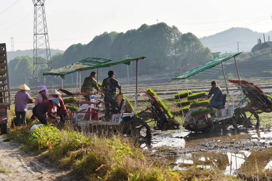 Farmers seed rice with seeding machines in a field in Wuyi, in China's eastern Zhejiang province on 12 April 2022. (AFP)