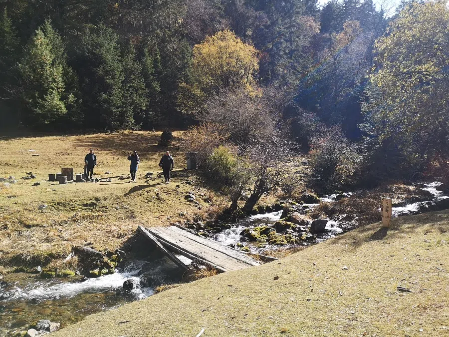 Walking in the forest.