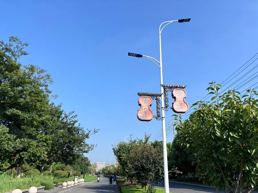 Signs in the shape of violins seen on a street in Huangqiao, Jiangsu. 