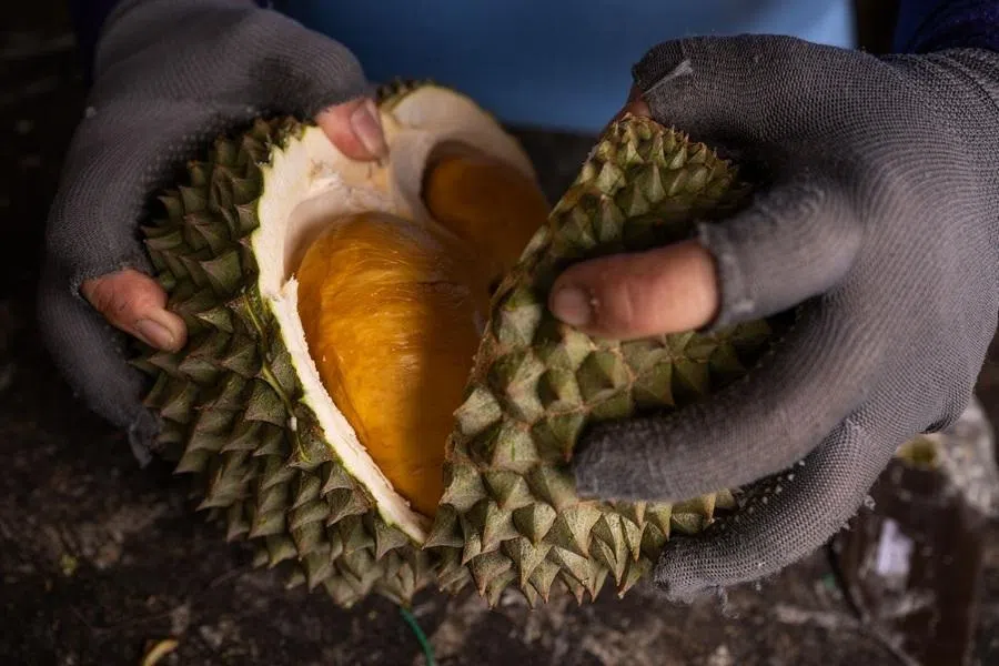 This photo taken on 30 June 2026 shows a vendor peeling a Black Thorn durian for sale at a roadside stall in Karak, Pahang, Malaysia.