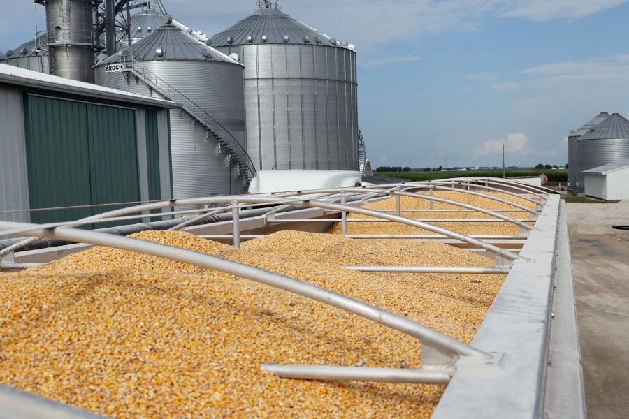 Corn loaded in trucks is seen at Wessling Farms near Grand Junction, Iowa, US, 5 July 2018. (Scott Morgan/REUTERS)