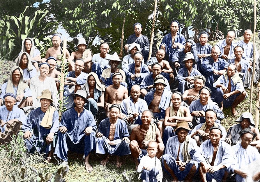 Chinese immigrant workers at a rubber plantation. In the 19th century, British colonialists recruited labourers from the coastal Chinese provinces of Fujian and Guangdong to start rubber plantations. The early wave of Chinese immigrants to Singapore and the Malay Peninsula mainly comprised uneducated coolies.
