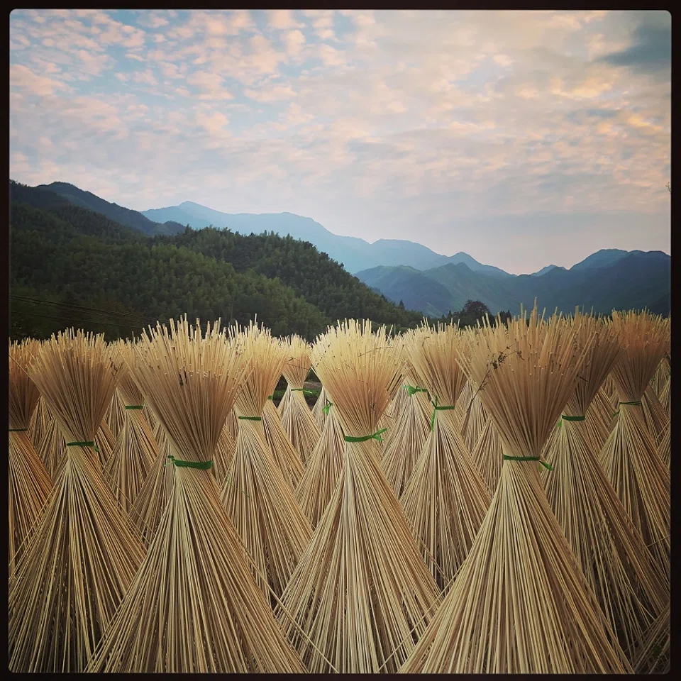 Drying bamboo sticks for various uses including chopsticks, near Anji (安吉), Zhejiang.