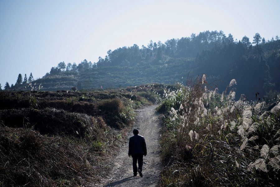 This picture taken on 12 January 2021 shows a farmer walking to his orange orchard in Baojing County, Hunan province, China. (Noel Celis/AFP)