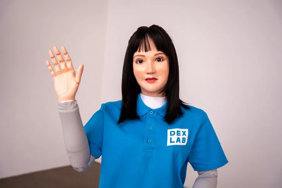 Humanoid robot Daisy is developed by Dex-Lab.