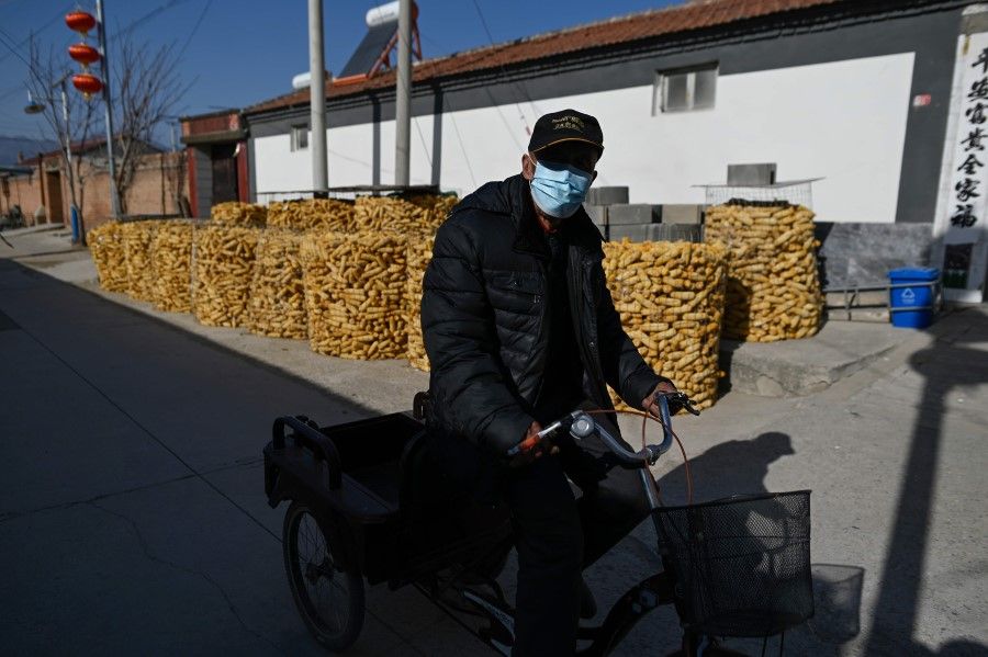 A man rides his tricycle along a road in Houheilongmiao village, in Yanqing district of Beijing on 5 February 2021. (Wang Zhao/AFP)
