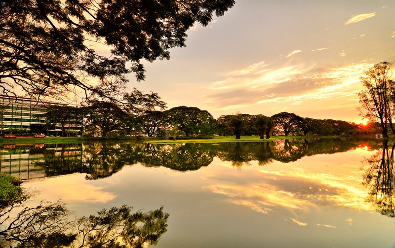 Taiping's Lake Garden. (Photo: Stanley Chuah. Internet: https://www.stanleychuahphotography.com/blog/2015/4/lake-garden-taiping-perak-malaysia)