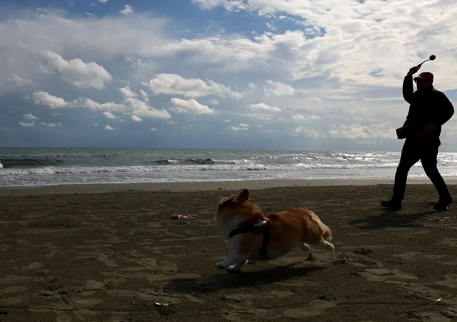 A man throws a ball for his dog on the beach in Larnaca, Cyprus, 29 January 2024. (Yiannis Kourtoglou/Reuters)