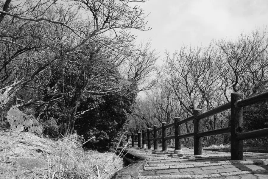 Japanese poet Basho Matsuo walked over 2,000 kilometres to Kasajima, only to meet muddy, impassable roads. (SPH Media)