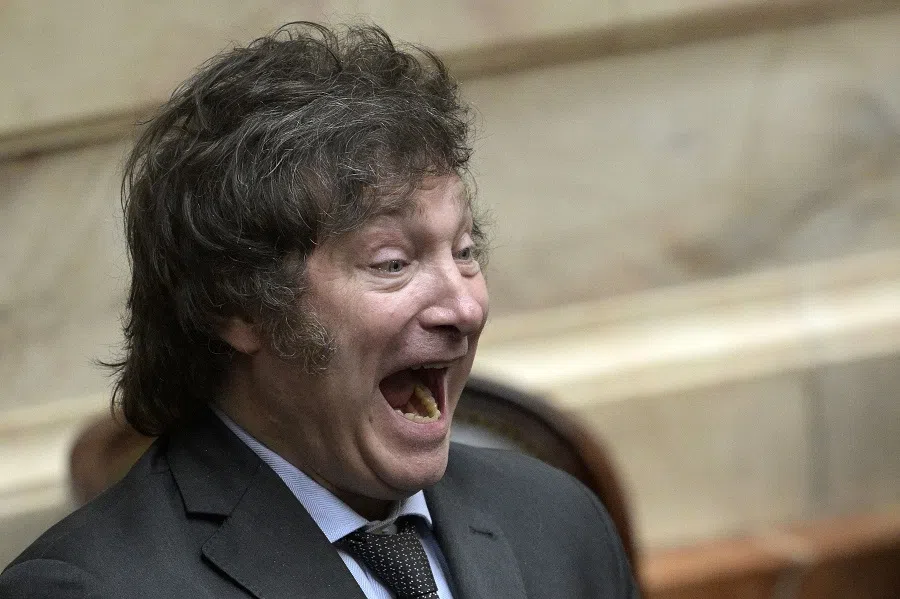 Argentina's President-elect Javier Milei gestures during a session at the Argentine Congress in Buenos Aires, Argentina on 29 November 2023. (Juan Mabromata/AFP)