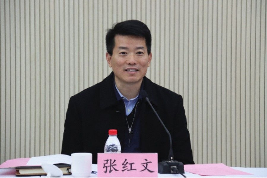 Anhui standing committee member Zhang Hongwen. (Internet)
