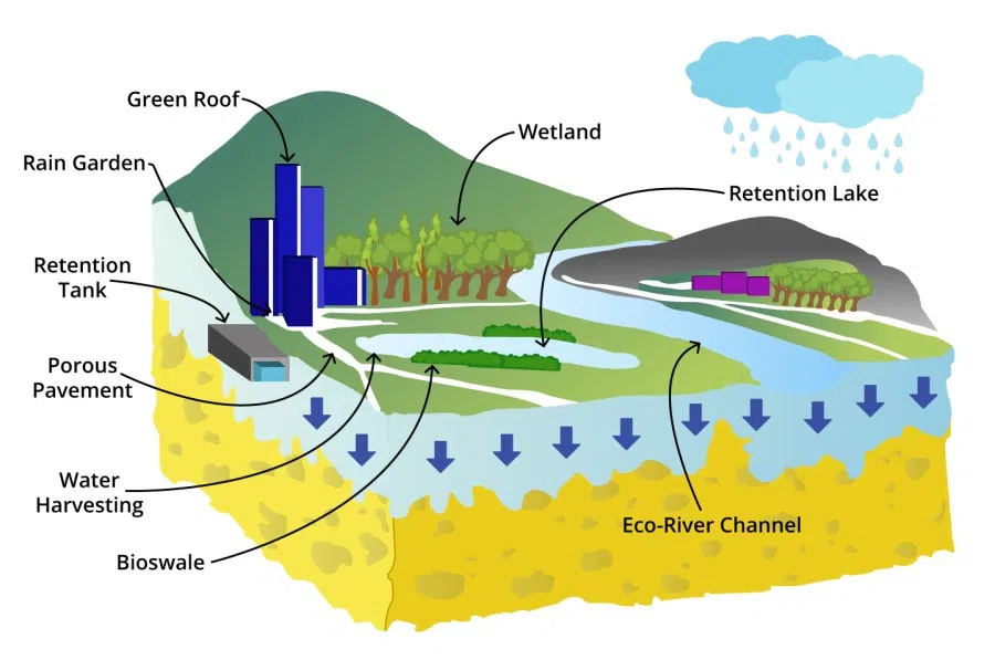 A diagram of a sponge city. (Image: Jace Yip)