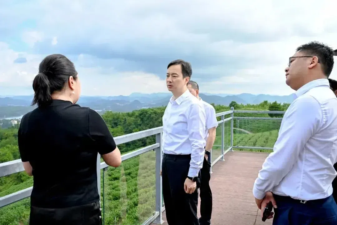 Former Guiyang mayor Ma Ningyu (middle) is seen in this shot.  (Internet)