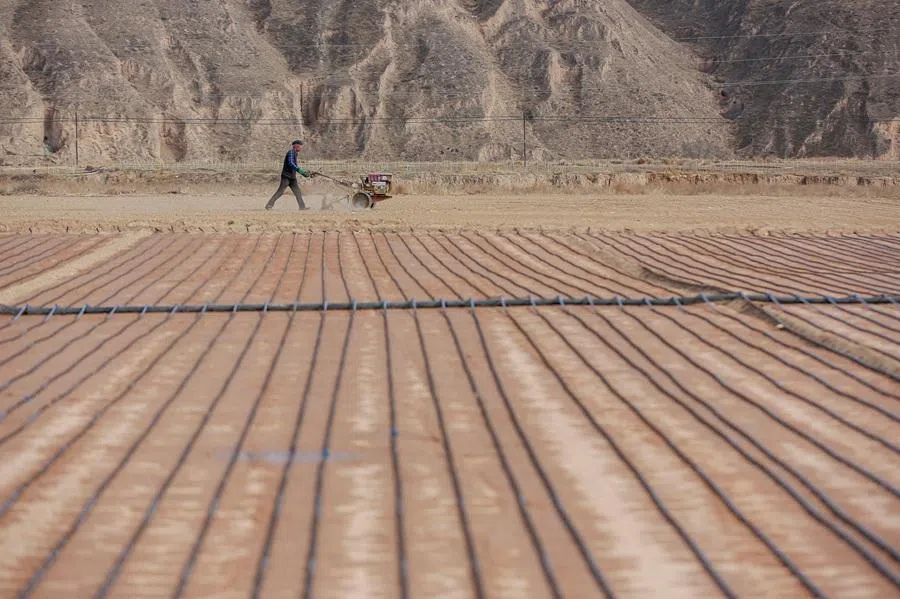 A farmer operates a machinery near drip irrigation tapes, on a farm in Nanzui village in Baiyin, Gansu province, China, on 24 March 2026.