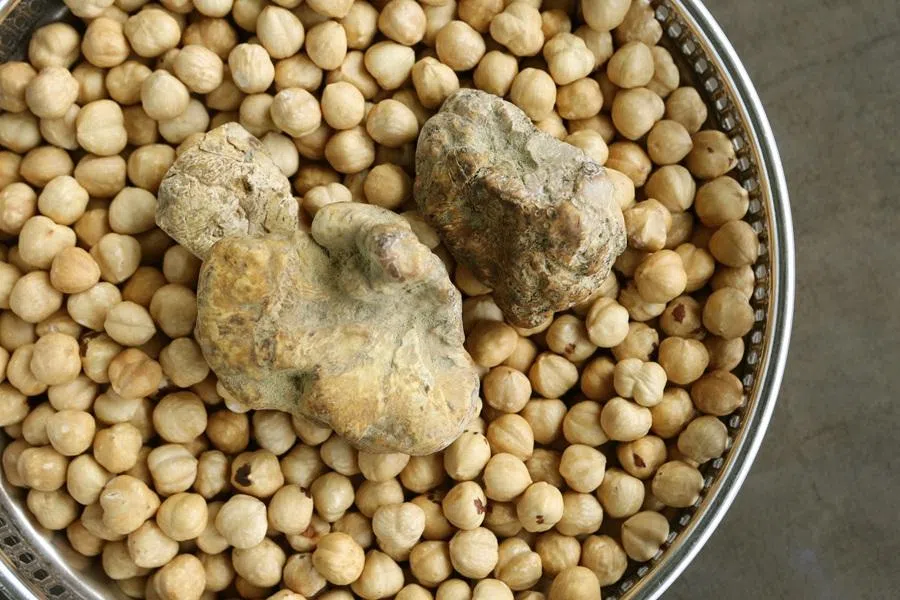White truffle, a luxury ingredient that defies cultivation. (SPH Media)