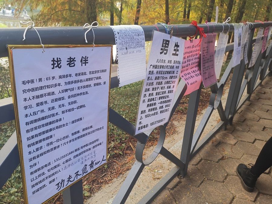 Posters with personal information hung up at the matchmaking corner in Tianhe Park. Zhang Damao's poster is on the extreme left. (Photo: Zeng Shi)