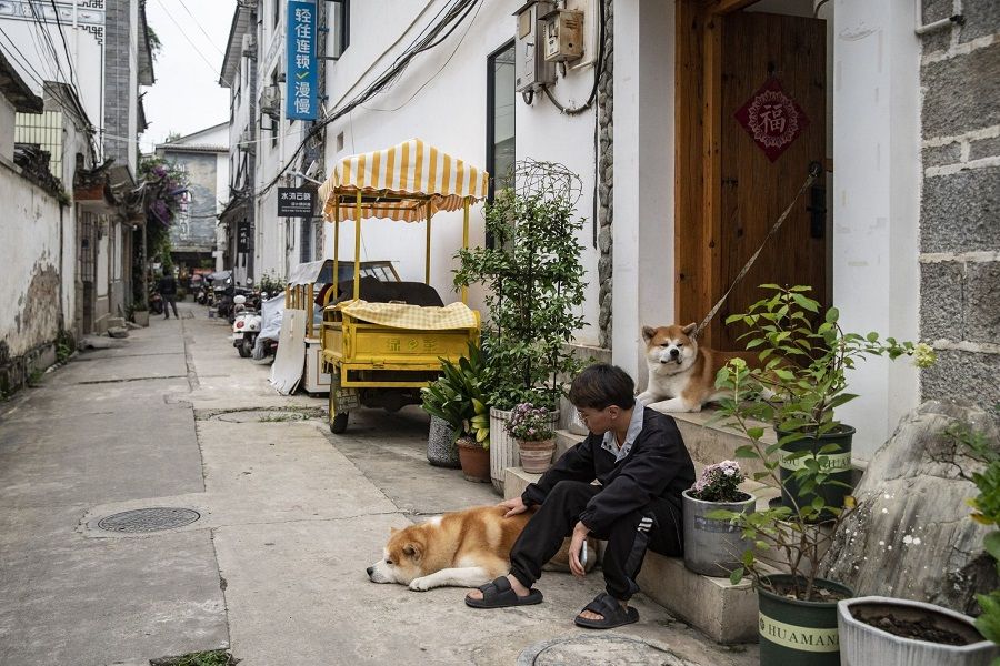 A resident sits next to pet dogs in Dali, Yunnan province, China, on 7 September 2022. (Qilai Shen/Bloomberg)