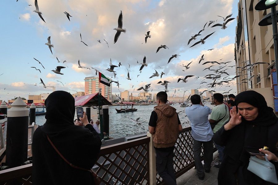 People take pictures as seagulls fly in the old neighbourhood of Deira, in the Gulf Emirate of Dubai on 4 January 2024. (Giuseppe Cacace/AFP)
