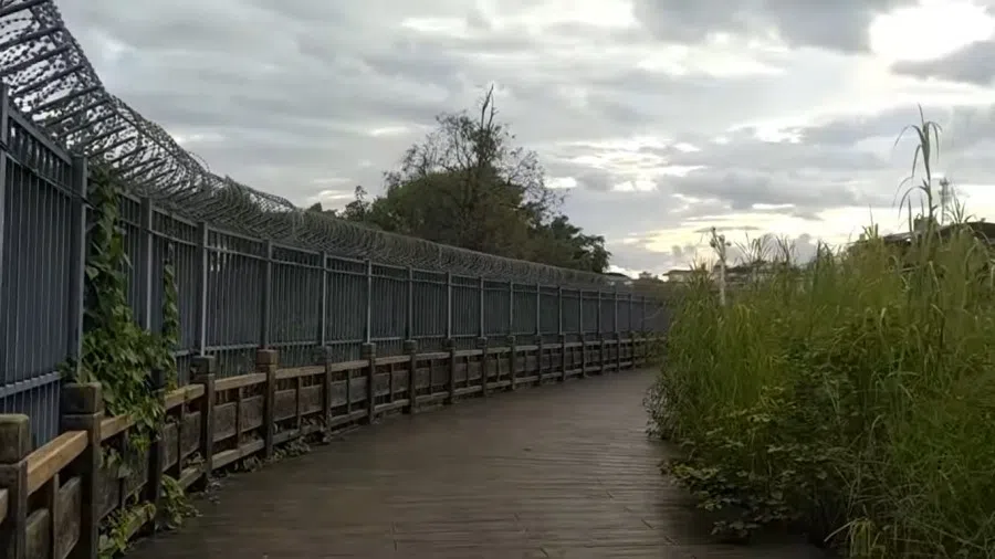 A screen grab from a video featuring the barbed wire fence between China and Myanmar complete with surveillance cameras, September 2020. (YouTube/渝人阿木)