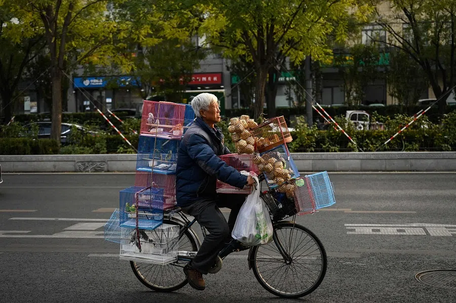 An elderly man rides a bicycle with bird cages on a street in Beijing on 20 November 2023. (Jade Gao/AFP)