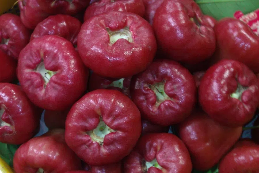 Wax apples from Pingtung, Taiwan. (Wikimedia)