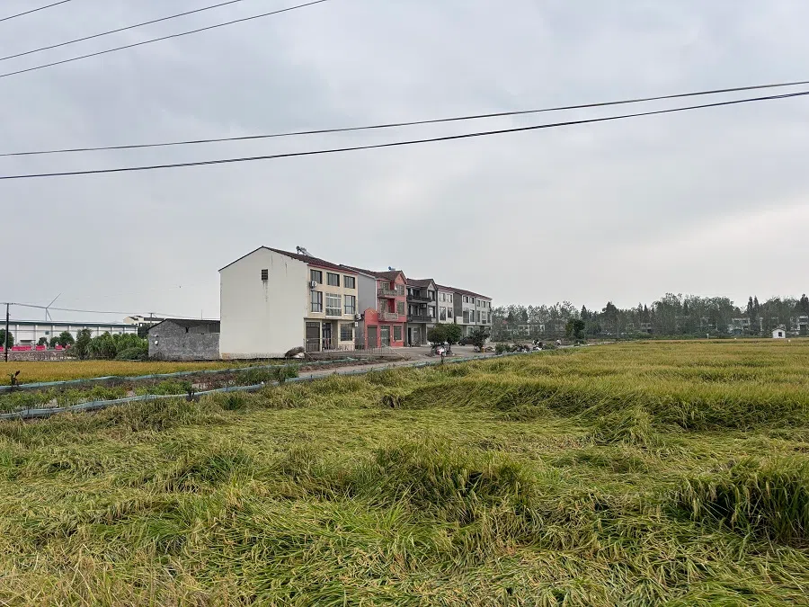 Qili village in Hubei province used to be a famous “surrogacy village” in China. (Li Kang/SPH Media)