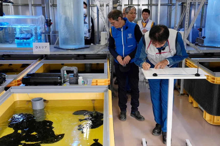 Rafael Grossi (centre), director-general of the International Atomic Energy Agency, watches flounder in fish tanks after signing agreements to cooperate with TEPCO on information exchange to raise marine life, as TEPCO president Tomoaki Kobayakawa signs his copy while they were visiting a lab at the damaged Fukushima nuclear power plant in Okuma on 5 July 2023. (Hiro Komae/Pool/AFP)