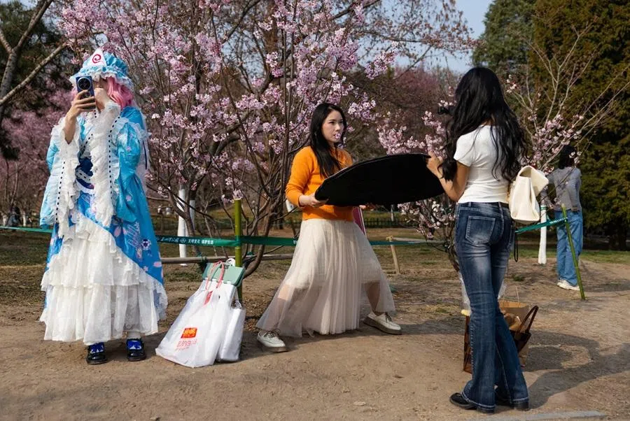 Women take photos among blooming trees during cherry blossom season in a park, in Beijing, China, on 25 March 2026. (Maxim Shemetov/Reuters)