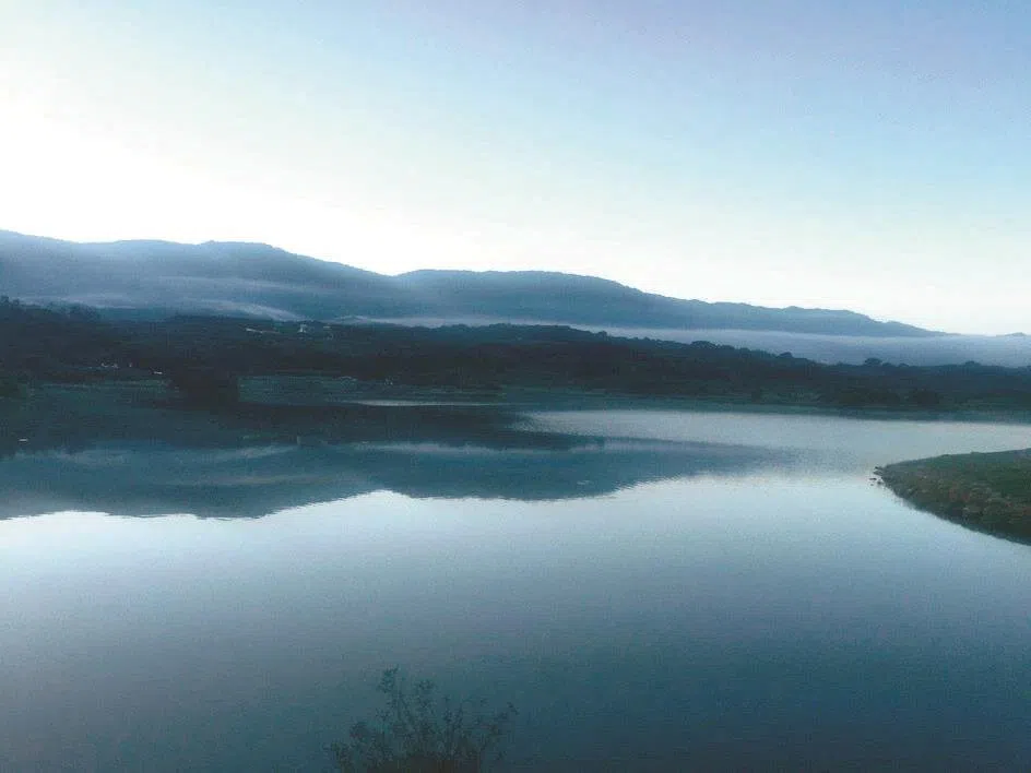 As the first light slowly gathered, Dapo Pond is almost like an ink wash painting that had not yet dried.
