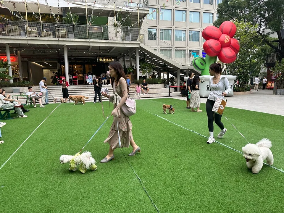 Pet owners walk their dogs at aPark in Shenzhen, China.