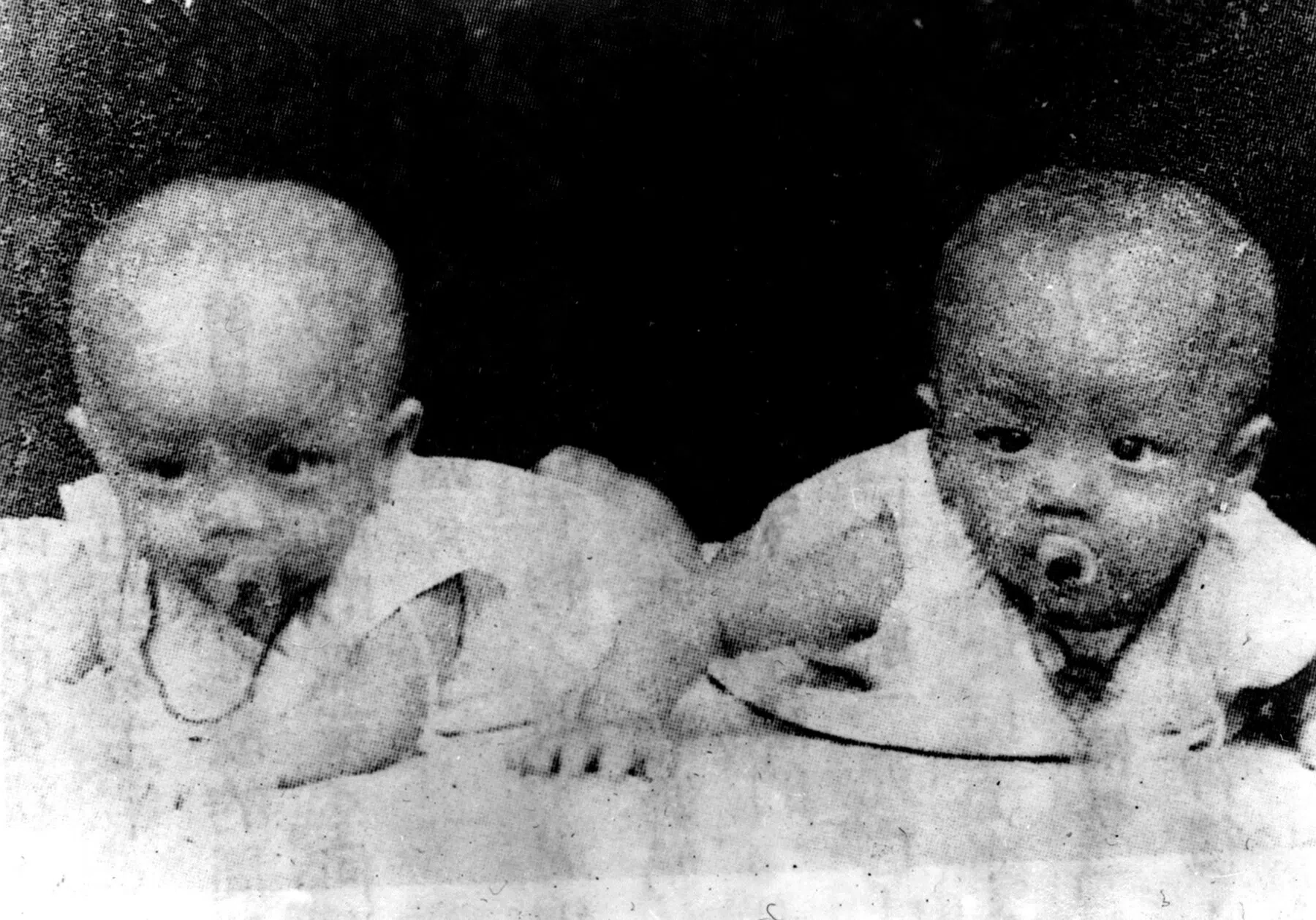 The birth of twin brothers John Chang Hsiao-yen and Winston Chang Hsiao-tzu in Guilin, 1942. There are various accounts of their mother Chang Ya-juo’s death.
