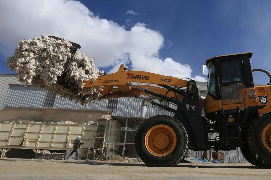 A machinery transports seed cotton at a processing plant in Kashgar, Xinjiang, China, 2 April 2021. (CNS photo via Reuters)
