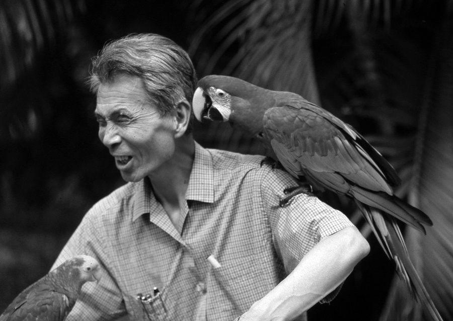A parrot perches on Chinese artist Wu Guanzhong's shoulder during an outdoor sketching session at Jurong Bird Park in 1988. (Photo: Chua Soo Bin)