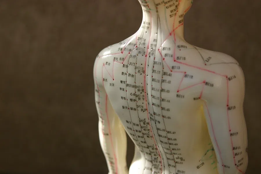 A close-up of an acupuncture model. (iStock)