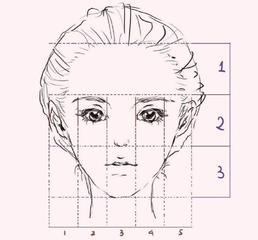 The santing wuyan method in defining the golden ratio of the face. (Internet)