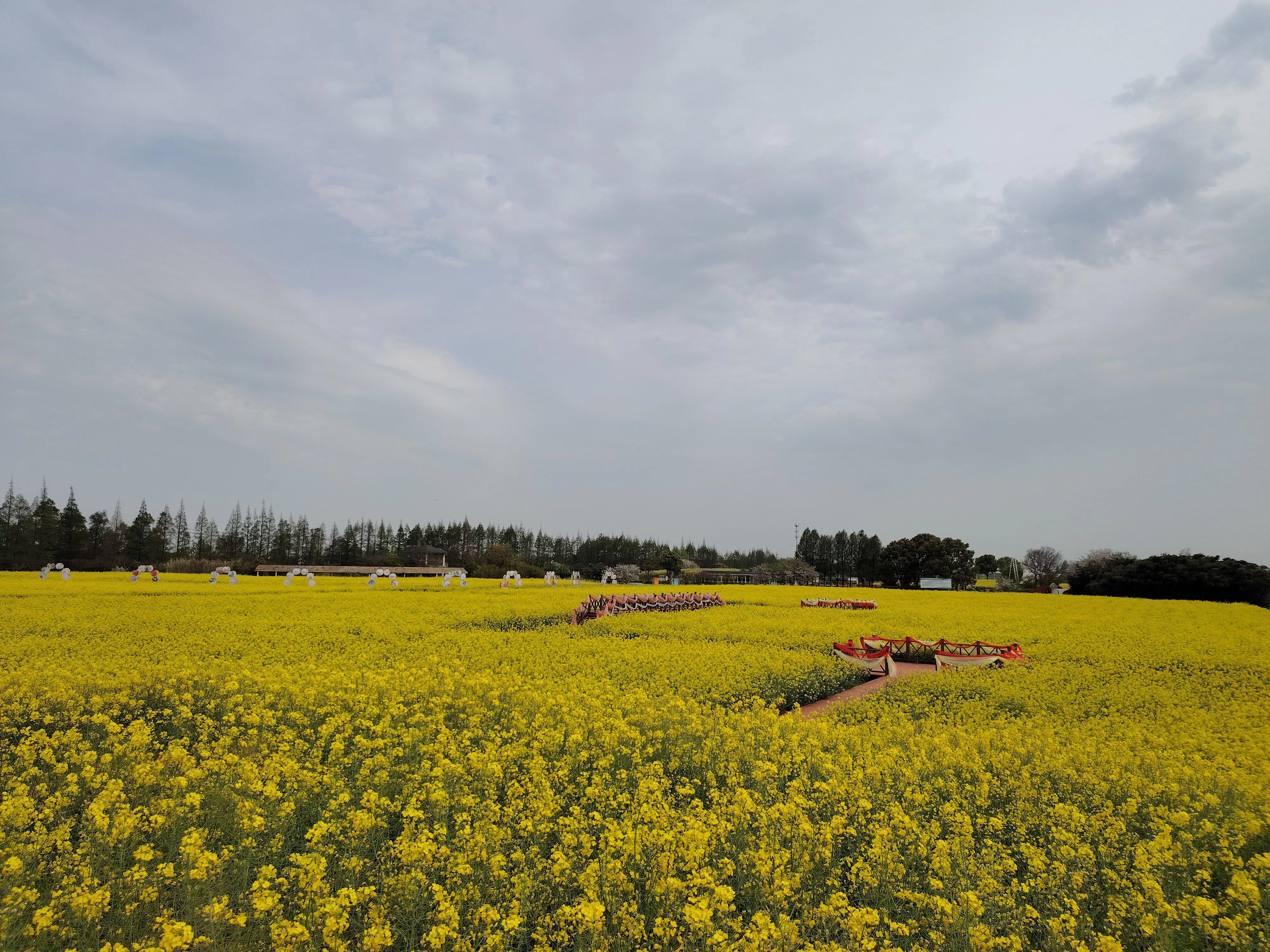 The photo shows the recent scenery at Changyinsha Modern Agricultural Demonstration Park in Zhangjiagang city, Suzhou, Jiangsu, on 19 April 2026. (Wu Yifan/HKCNA)