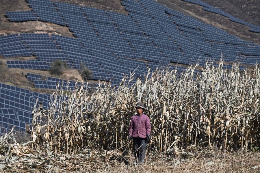 This photo taken on 23 October 2021 shows a farmer in a field near solar panels on a hillside at Huangjiao village in Baoding in China's northern Hebei province. (Greg Baker/AFP)