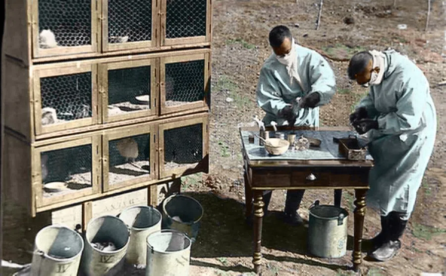 Dr Wu Lien-teh and a colleague carrying out fieldwork. To understand the effect of diseases on the body, they had to carry out live experiments, while being careful not to get infected themselves.